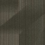 Elevated - Image 5