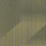Elevated - Image 7