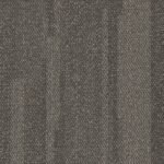 Function - Image 7