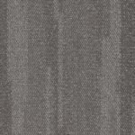 Function - Image 8