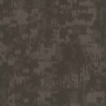 Reveal - Image 5