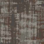 Tabby - Image 2