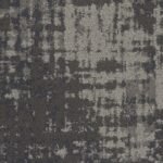Tabby - Image 4