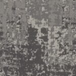 Tabby - Image 5