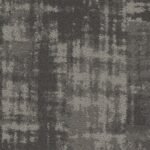 Tabby - Image 6
