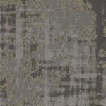 Tabby - Image 7