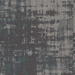 Tabby - Image 8