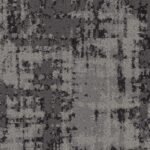 Tabby - Image 9